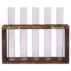 Royi 北歐風格壁掛式花盆組 碳化5孔木架 + 試管, 單一顏色