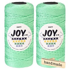 Knitt Joyyarn 適合鉤針編織包包的PP線 100g x 2入 + 手工金屬標籤組, 1套, 38 薄荷綠