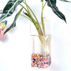 Roylife 空氣淨化植物方形杯花瓶 + 無痕壁掛組, 混合色