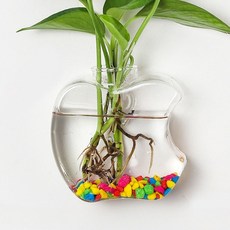 Roylife 客廳亮點蘋果造型花瓶 + 無痕釘組, 混合色