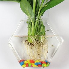 Roylife 客廳裝飾六角花瓶 + 無痕釘套組, 混合色