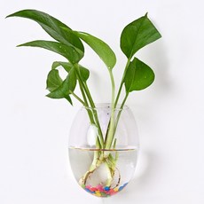 Roylife 客廳亮點恐龍蛋花瓶 + 無痕釘組, 混合色