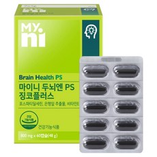마이니 두뇌엔 PS 징코플러스 48g, 1개, 60정