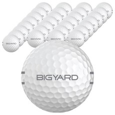 BIGYARD NEXEN Range Ball 2層 螢幕高爾夫球 練習球 練習用, Logo, 300球