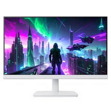 앱코 FHD 하이퍼뷰 IPS 165 HDR 컴퓨터 무결점 모니터, 61cm, 24F165D