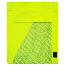 파라주니 러닝 아웃도어 스포츠 피트니스 소품 암백 HJ0599, 그린, 1개