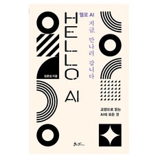 헬로 AI 지금 만나러 갑니다:교양으로 읽는 AI의 모든 것, 쌤앤파커스, 임춘성