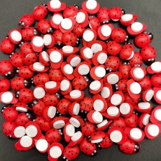 리브리카 대용량 가드닝 원예 장식꾸미기 무당벌레, 혼합색상