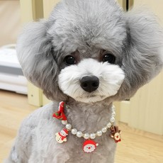 코코스튜디오 고양이 강아지 악세사리 인식표 메리목걸이, 1개, 레드