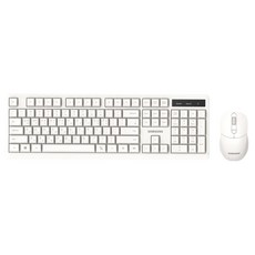 삼성전자 무선 키보드 마우스 세트, SP-R1600W, 화이트, 일반형