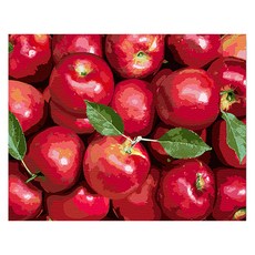 Play about DIY 名畫油畫繪圖套組 40 x 50 cm, 蘋果花園