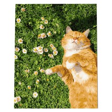 Play about DIY名畫油畫繪圖組 40 x 50 cm, 1套, 春日草地貓