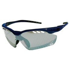 ButterFly Fish 蝴蝶魚 兒童款 風洞防霧抗UV鍍膜太陽眼鏡 台灣製