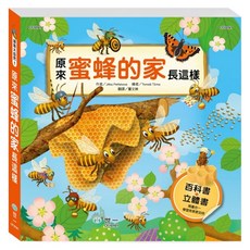 原來蜜蜂的家長這樣, 世一, 探索大自然1
