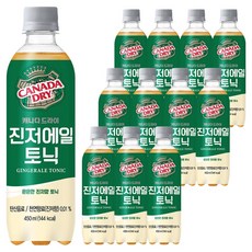 캐나다드라이 진저에일 토닉, 450ml, 12개