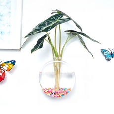 Roylife 空氣淨化植物用 無痕壁掛式花盆 大型圓形花瓶, 單一顏色