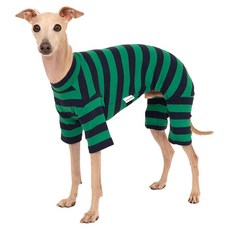 럭키페터 반려동물 베이직 스트라이프 올인원 아이쥐옷, 1개, 그린 + 네이비