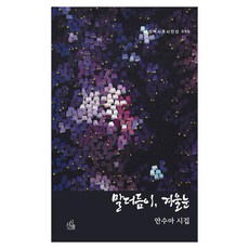 말더듬이 겨울눈, 시산맥사, 안수아