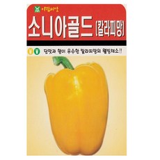 아람종묘 소니아골드 칼라피망 씨앗, 1개