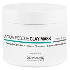 DERMALINE 德媄娜 水潤救援泥膜, 300g, 1個