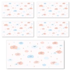 양지다이어리 더스페셜 기프트 용돈봉투 Ver 5, 클라우드, 5개