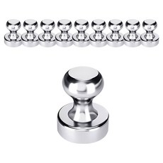 러블리팜 초강력 네오디움 강력 체스 도장형 냉장고 자석 10p + 투명케이스, 1세트, 실버