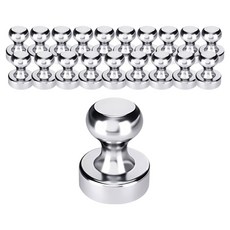 Lovely Farm 超強力釹強力西洋棋圖釘型冰箱磁鐵 20入 + 透明盒, 1套, 銀色