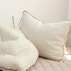 EBLANK Kony Micro M2 防蟎枕頭套