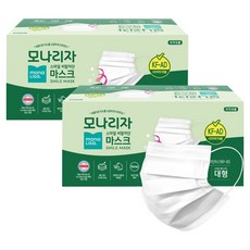 모나리자 스마일 평판 비말차단 마스크 대형 성인용 KF-AD, 50개입, 2개, 화이트