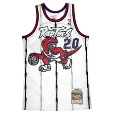 NBA 男女通用 Swingman 球衣 多倫多暴龍隊 DAMON STOUDAMIRE 95