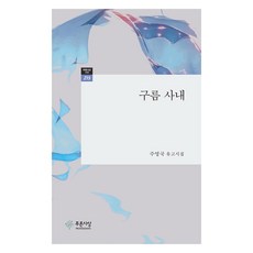 구름 사내, 주영국 저, 푸른사상