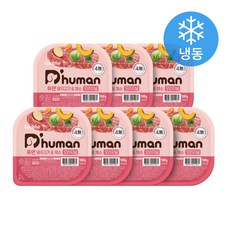 듀먼 전연령 강아지 채소 오리지널 화식사료 용기형 냉동, 100g, 7개, 돼지