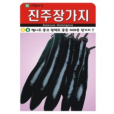 아람종묘 진주장가지 씨앗, 1개 1개