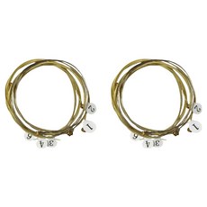 프레토 고탄력 어쿠스틱 전용 스트링 세트, BRONZE 1253, 2세트, FAS-01