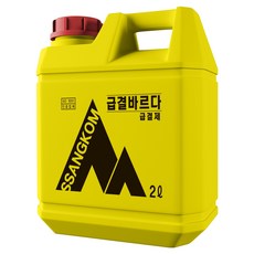 쌍곰 급결바르다 시멘트 급결 보수 방수제 2L, 1개