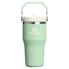 STANLEY 經典系列 IceFlow 手提吸管杯2.0, 1個, 開心果綠, 590ml
