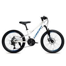 코난트 A22D 시마노21단 디스크 알로이 MTB 자전거 방문설치, 화이트, 1개, 180cm