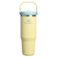 STANLEY 經典系列 IceFlow 手提吸管杯2.0, 0.88L, 萊姆黃, 1個