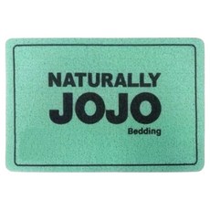 JOJO 時尚簡約刮泥地墊 60 x 40 x 0.8cm, 綠色, 1個
