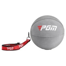 PGM Golf 高爾夫智慧球/揮杆練習器/手臂糾正器/輔助矯正訓練器 PG104, 1套, 灰色