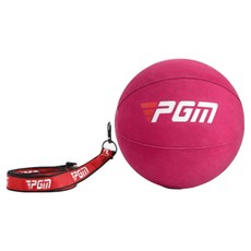 PGM Golf 高爾夫智慧球/揮杆練習器/手臂糾正器/輔助矯正訓練器 PG104, 1套, 玫紅色