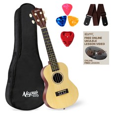 나푸아 입문용 우쿨렐레 패키지 세트 NU330C N, 콘서트, 1세트