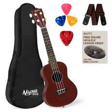 나푸아 입문용 우쿨렐레 패키지 세트 NU330C BN, 콘서트, 1세트