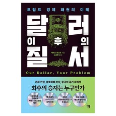 달러 이후의 질서, 윌북, 케네스 로고프