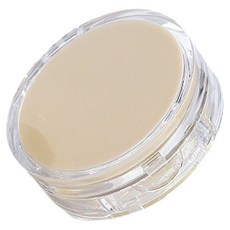 셀비아 DIY 원형 에어쿠션 비비 파운데이션 케이스, 1개, 투명