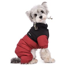 REDPUPPY 寵物 Kelly 撞色鋪棉外套, 1個, 深紅色