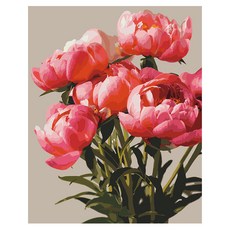 플레이어바웃 DIY 유화 그림그리기 세트 40 x 50 cm, 다섯 송이 목단(MG239), 1세트