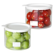 리본제이 듀오 컨테이너 내열유리 밀폐용기, 2개, 500ml