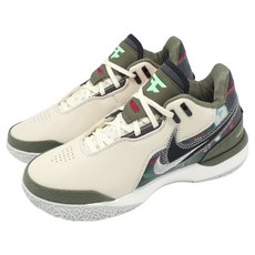 NIKE 耐吉 男款 Zoom LBJ NXXT GEN AMPD FAZE EP 籃球鞋 HF0716-200 US10