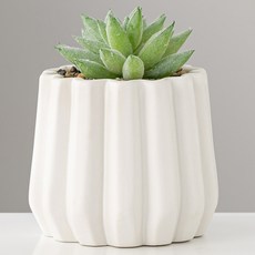 Treova 漂亮花盆 款式8, 款式8(不含綠色植物)-2入, 2個